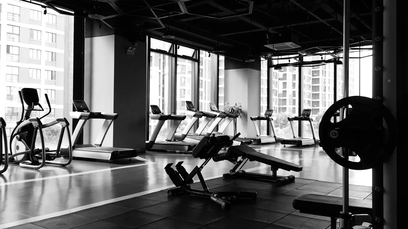 Vue d'ensemble du plateau musculation